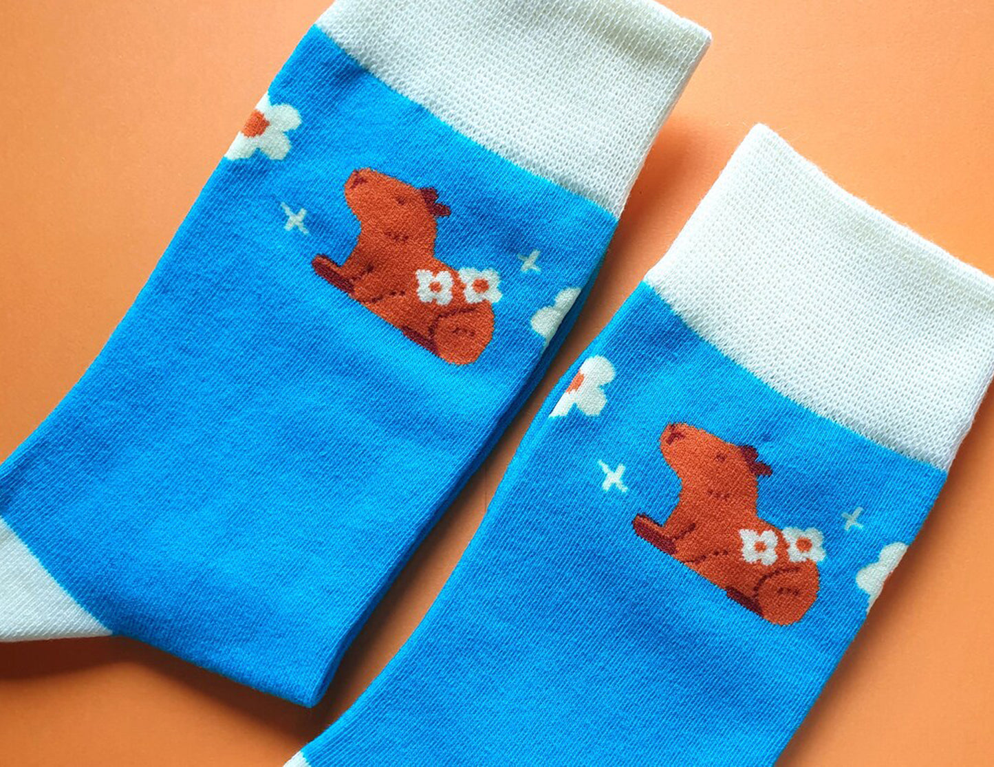 Capybara socks